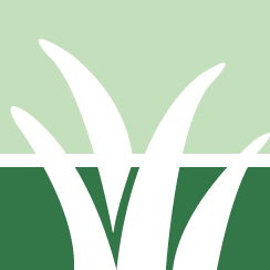 Lawn Fertilizing Pros