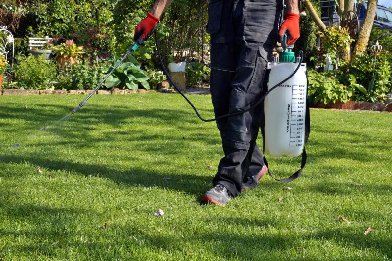 Lawn Weed Treatment in Aiken, SC