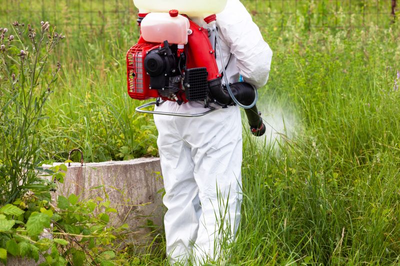 Crabgrass Prevention in Rockwall, TX