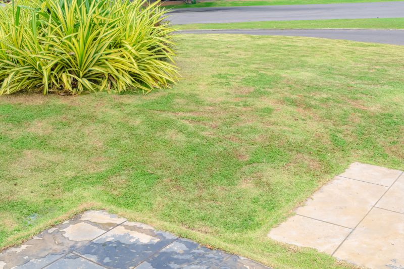 Grass Treatment in Ventura County, CA