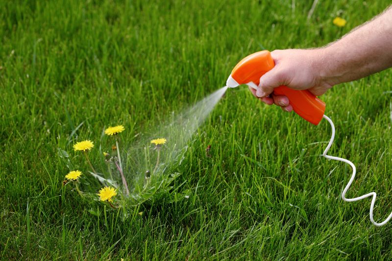 Lawn Herbicide Treatment