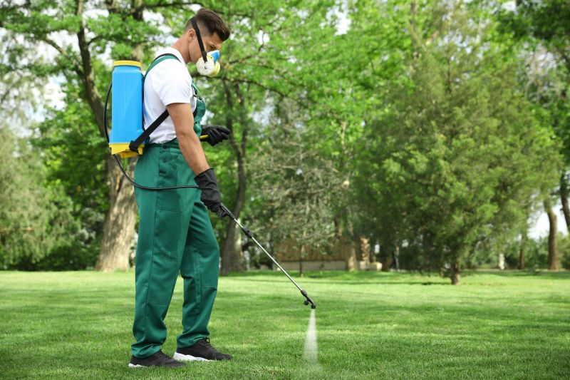 Lawn Moss Control in Ventura County, CA
