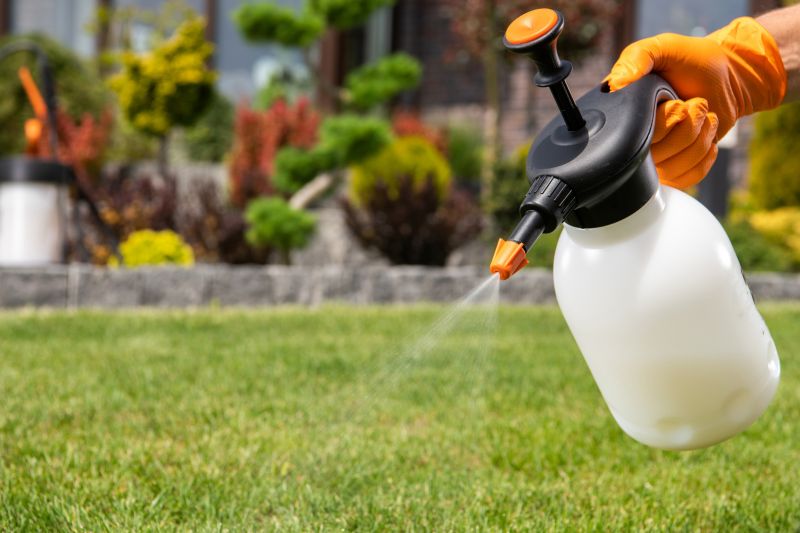Lawn Treatment Service in Honolulu, HI