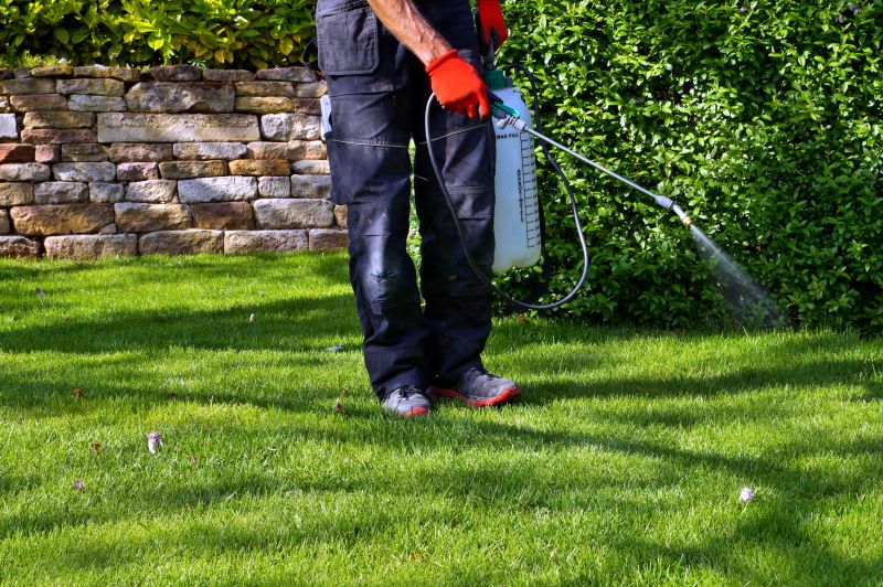 Lawn Weed Control in Aiken, SC