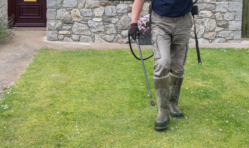 Lawn Weed Control in Aiken, SC