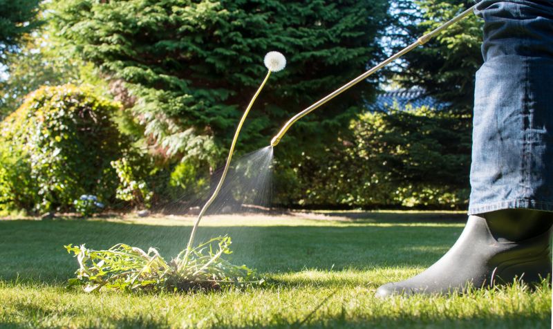 Lawn Weed Spraying in Aiken, SC