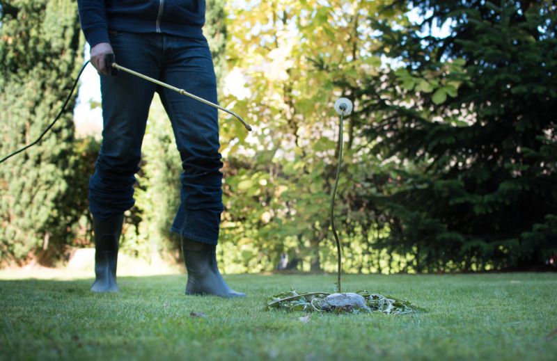 Lawn Weed Treatment in Aiken, SC