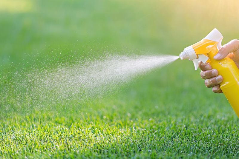 Lawn Weed Treatment in Aiken, SC