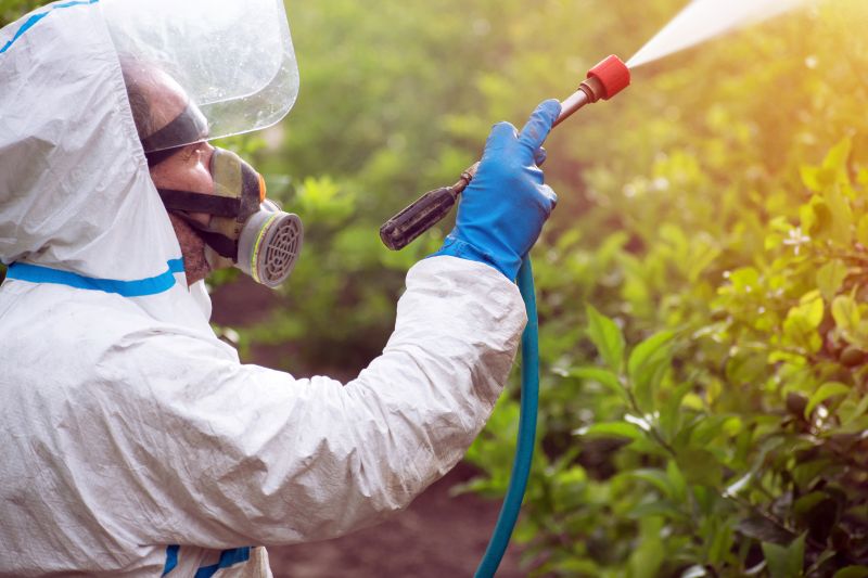 Lawn Weed Treatment in Ventura County, CA