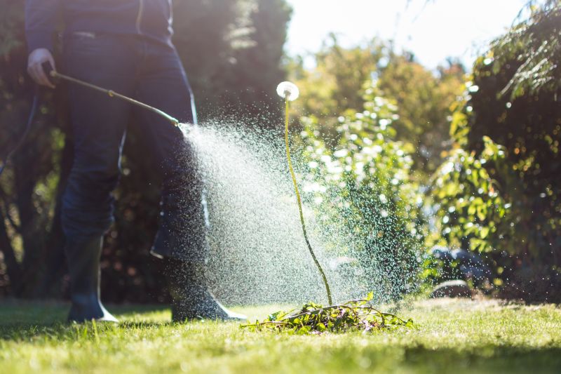 Pampas Grass Control in Rockwall, TX