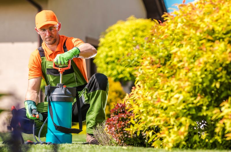 Spring Lawn Fertilizing in Honolulu, HI