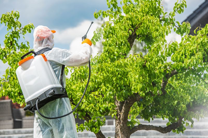 Weed Prevention Service in Rockwall, TX