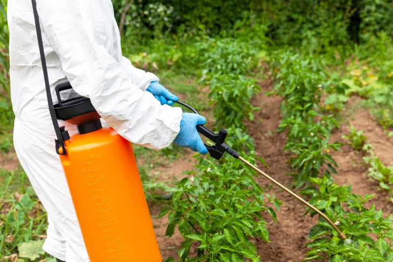 Weed Prevention Service in Aiken, SC