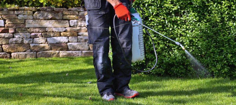 Weed Spraying in Rockwall, TX