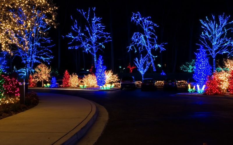 Yard Lights Installation in Denver, CO